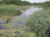 Ляховичи - Ляхавічы - Lachawiczy - Lachowicze