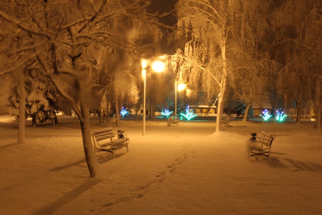 14.12.2015 098