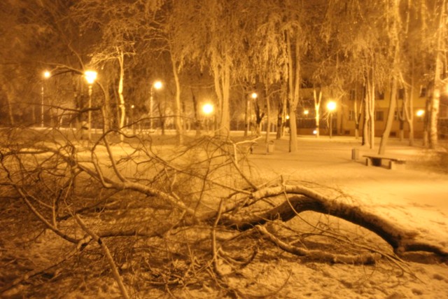 14.12.2015 151