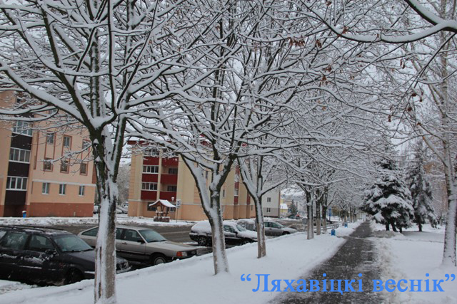 Снег в Ляховичах /фото/