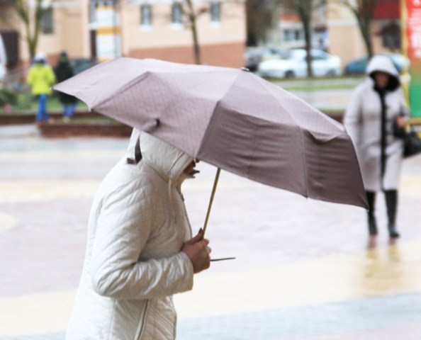 Дождливая погода сохранится в Беларуси до конца апреля