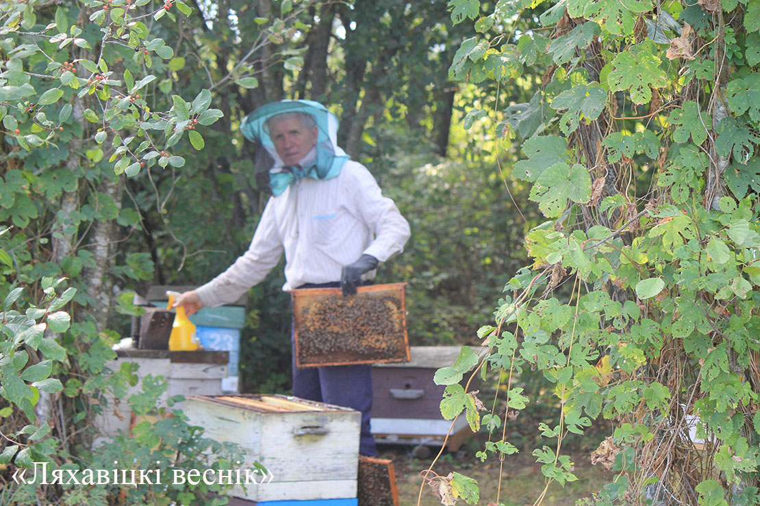 В Ляховичском лесхозе заготавливают мёд. Смотрите "сладкий" репортаж
