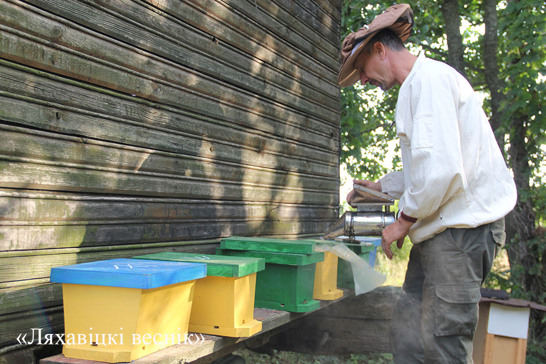 В Ляховичском лесхозе заготавливают мёд. Смотрите "сладкий" репортаж