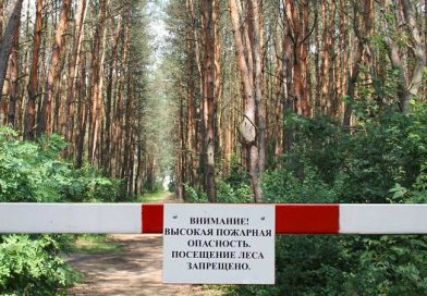 С 17 мая вводится запрет  на нахождение граждан, въезд транспортных средств, проведение работ, не связанных с ведением лесного хозяйства на территории лесного фонда Ляховичского района