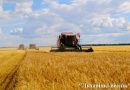 Третий миллион тонн зерна намолочен в Беларуси