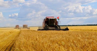 Три района Брестской области намолотили по 100 тыс. тонн зерна. В Ляховичском на сегодня — 43639 тонн