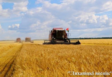 Три района Брестской области намолотили по 100 тыс. тонн зерна. В Ляховичском на сегодня — 43639 тонн