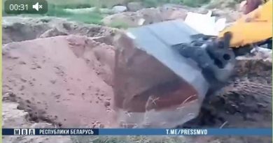 В Кобринском районе обнаружено 9 тонн закопанного зерна
