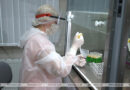 Медики ожидают прихода в Беларусь двух новых штаммов коронавируса