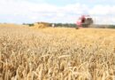 Лепшыя на жніве ў Ляхавіцкім раёне па стане на 28 ліпеня