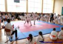 Фотофакт. Открытый турнир по карате  «1492» проходит в Ляховичах