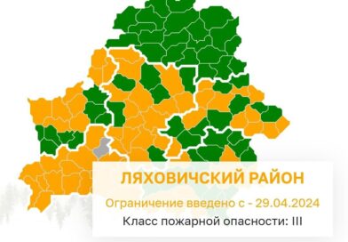 В Ляховичском районе введено ограничение на посещение лесов