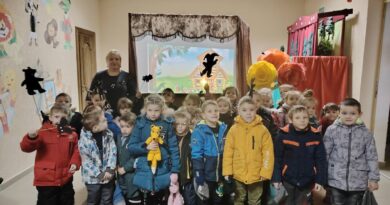 Ляховичская  детская  библиотека пригласила  детей в театр теней