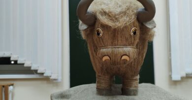 Среди экспонатов музея зубра в Бресте- работа педагогов и воспитанников центра дополнительного образования детей и молодёжи г. Ляховичи