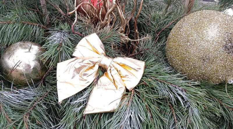 Снега пока не будет. А чего ждать от погоды  5–7 декабря, рассказали синоптики