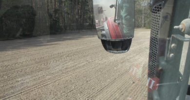 Сельскагаспадарчыя фарбы красавіка