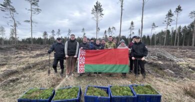 В Ляховичском районе проходит  акция «Лес! Дабро! Парадак!»