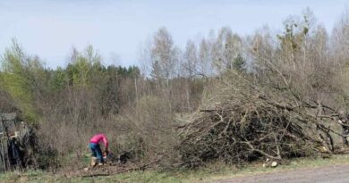 Субботничаем! В Гончаровском сельсовете не первый день кипят работы по удалению древесно-кустарниковой растительности