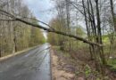 Последствия сильного ветра в Ляховичском районе