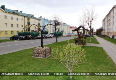 Объявлен ежегодный смотр-конкурс на лучшее благоустройство и санитарное состояние территорий г. Ляховичи