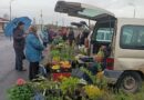 В Ляховичах проходит  майская сельскохозяйственная ярмарка