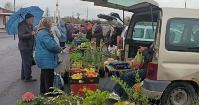 В Ляховичах проходит  майская сельскохозяйственная ярмарка