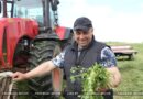 Кормозаготовительный конвейер запустили в ОАО «Жеребковичи» Ляховичского района