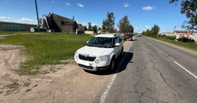 В Ляховичском районе камень из-под косилки повредил лобовое стекло автомобиля