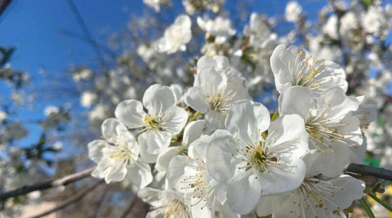 К чему готовиться после жарких и солнечных выходных, ответили синоптики