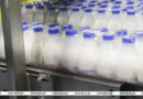 Белорусские молочные продукты экспортируются в 55 стран Белорусские молочные продукты экспортируются в 55 стран