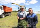 В ЗАО «Белпромприбор» заготавливают сенаж в рукава из полиэтиленовой плёнки В ЗАО «Белпромприбор» заготавливают сенаж в рукава из полиэтиленовой плёнки