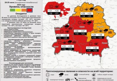 В связи с прогнозируемым ростом температуры воздуха до 37°C МЧС рекомендует соблюдать  правила безопасности