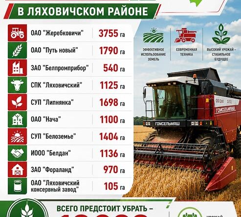 Зажынкі  мясцовага маштабу. 29 чэрвеня «Шлях новы» выйшаў на ўборку азімага ячменю