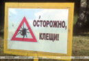 Минздрав предупредил о новой волне активности клещей в конце лета Минздрав предупредил о новой волне активности клещей в конце лета