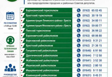 По субботам, с 9.00 до 12.00 часов, в каждом городском и районном исполнительном комитете работает прямая телефонная линия По субботам, с 9.00 до 12.00 часов, в каждом городском и районном исполнительном комитете работает прямая телефонная линия