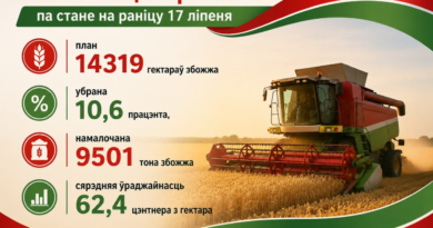 У Ляхавіцкім раёне па стане на раніцу 17 ліпеня з 14319 гектараў збожжа убрана 10,6 працэнта У Ляхавіцкім раёне па стане на раніцу 17 ліпеня з 14319 гектараў збожжа убрана 10,6 працэнта