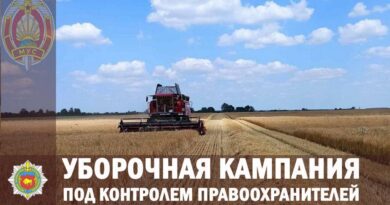 Сотрудниками Ляховичского РОВД у заведующей складом одного из сельхозпредприятия района  обнаружено  640 кг зерна пшеницы