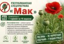 Мак па-за законам. На Ляхавіччыне з 1 чэрвеня па 15 верасня праходзіць рэспубліканская спецпраграма «Мак» Мак па-за законам. На Ляхавіччыне з 1 чэрвеня па 15 верасня праходзіць рэспубліканская спецпраграма «Мак»