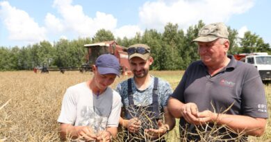 Аграрии Ляховичского района приступили к уборке озимого рапса Аграрии Ляховичского района приступили к уборке озимого рапса