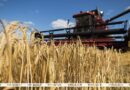 Мобильные группы для оперативного решения вопросов уборочной кампании начнут работать с 26 июля