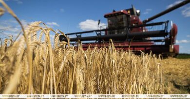 Мобильные группы для оперативного решения вопросов уборочной кампании начнут работать с 26 июля
