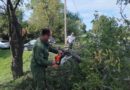 В агрогородке Липск проходит трудовая акция по наведению порядка В агрогородке Липск проходит трудовая акция по наведению порядка