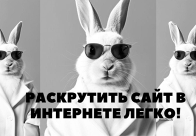 Разработка и продвижение сайта Разработка и продвижение сайта