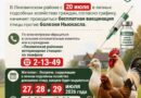 В Ляховичском районе начинается вакцинация птицы против болезни Ньюкасла В Ляховичском районе начинается вакцинация птицы против болезни Ньюкасла