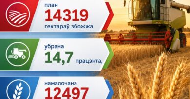 Даведаліся пра ход жніва ў Ляхавіцкім раёне па стане на раніцу 22 ліпеня