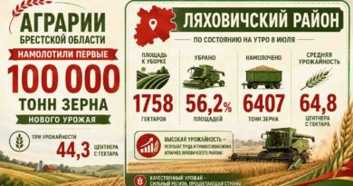 В Ляховичском районе из 1758 гектаров по состоянию на утро 8 июля убрано 56,2% В Ляховичском районе из 1758 гектаров по состоянию на утро 8 июля убрано 56,2%