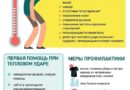 Жара как угроза. Как не довести легкое недомогание до отека мозга, рассказали в Минздраве Жара как угроза. Как не довести легкое недомогание до отека мозга, рассказали в Минздраве