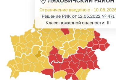 Ограничение на посещение лесов введено в Ляховичском районе