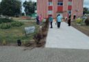 Да «Дажынак» рукой падаць. Як сталіца раённага свята працаўнікоў вёскі «Дажынкі-2026»  гатовіцца да падзеі?