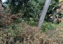 Небяспечны адрас на Матросава ў Ляхавічах. У чым справа?